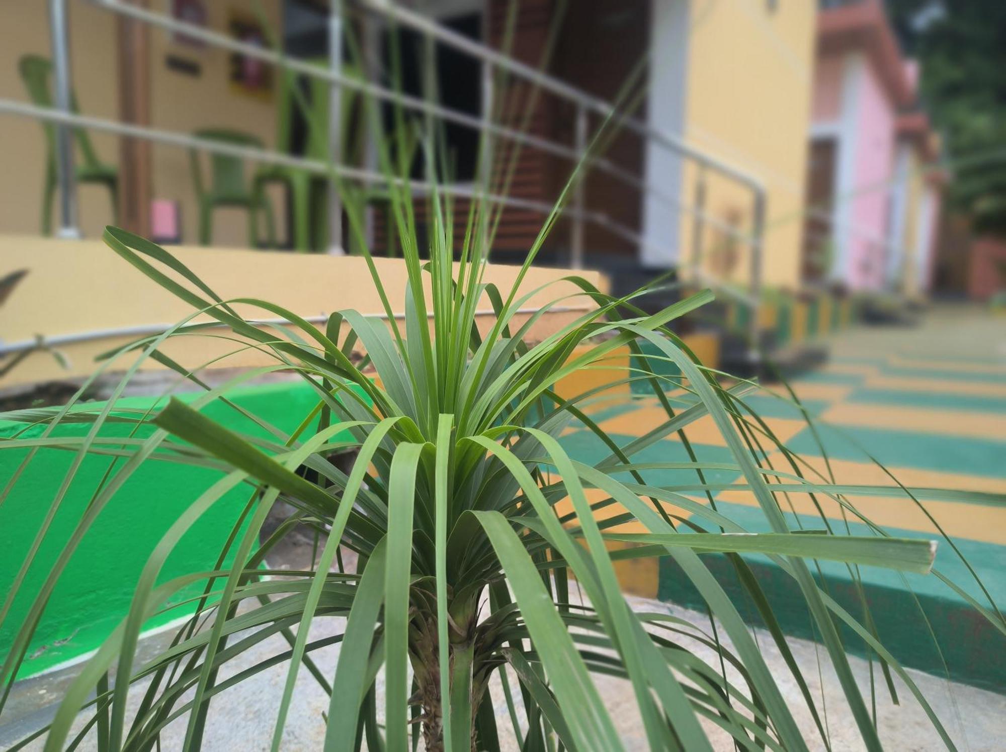 Kanna Garden By Bodhi Bungalows Kolli Hills Εξωτερικό φωτογραφία