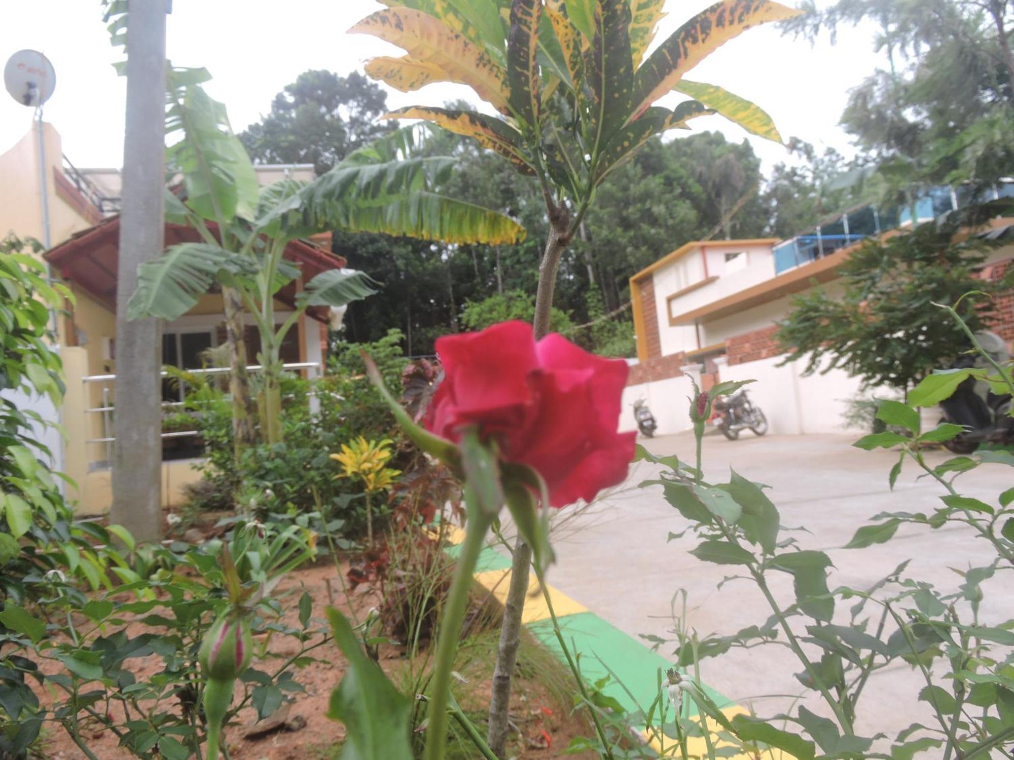 Kanna Garden By Bodhi Bungalows Kolli Hills Εξωτερικό φωτογραφία